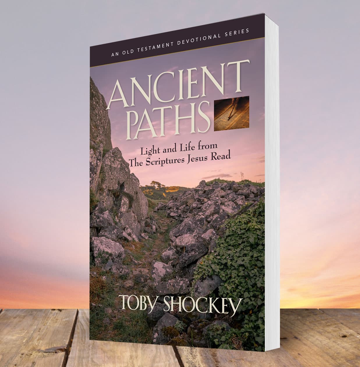Cover of Ancient Paths: Light and Life from the Scriptures Jesus Read by Toby Shockey
